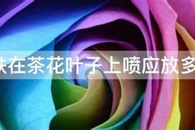 月季能浇硫酸亚铁吗？