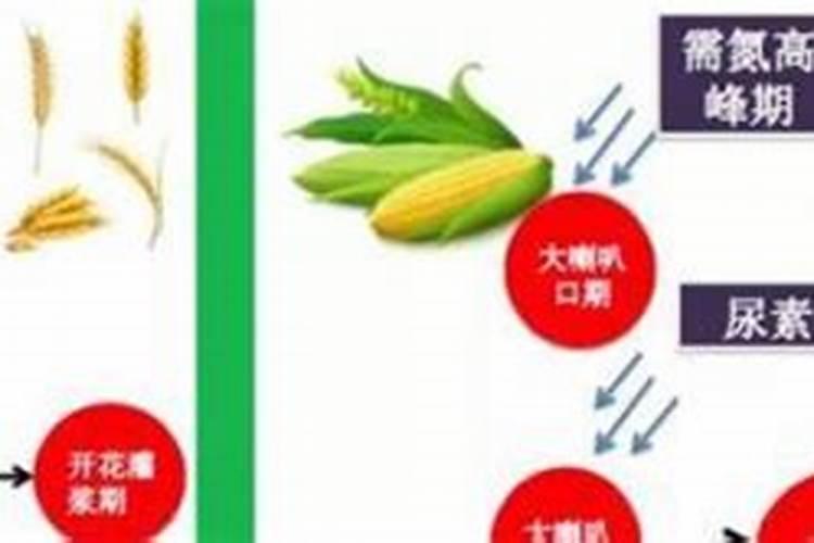 有机液肥可以加尿素肥吗