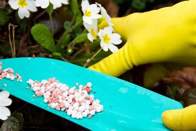怎样给花施复合肥