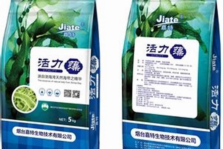 烟台嘉特海藻肥怎么样暖棚番茄冲施肥