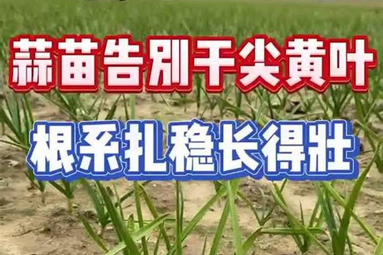 硅博源化肥多少钱