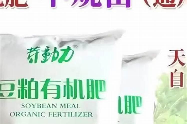 黄石坤宝银座值得买吗？