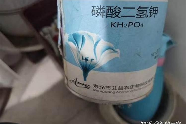 有机肥跟有机营养土有什么区别吗