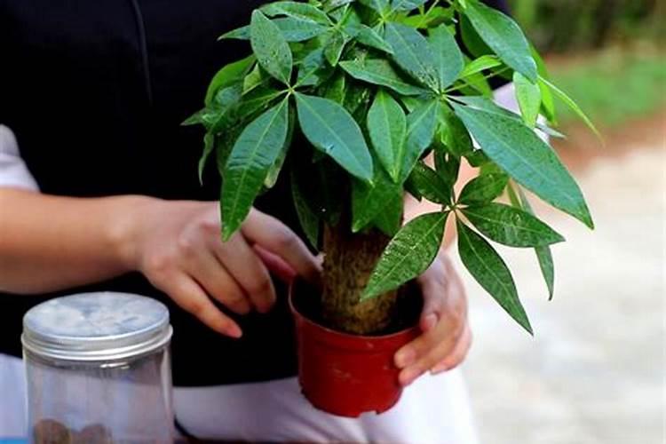 钾肥:供应渐显宽松 价格理性回落