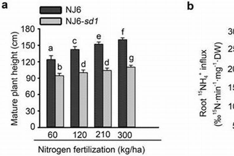 夏天西红柿开花少怎么办？