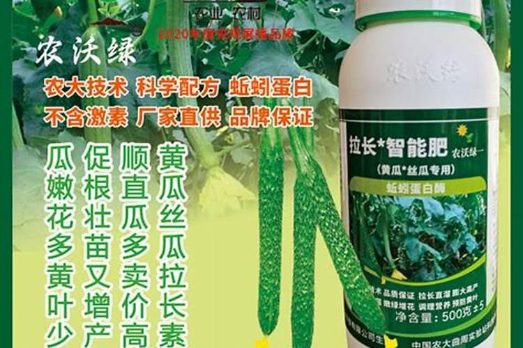 丝瓜打什么药才高产