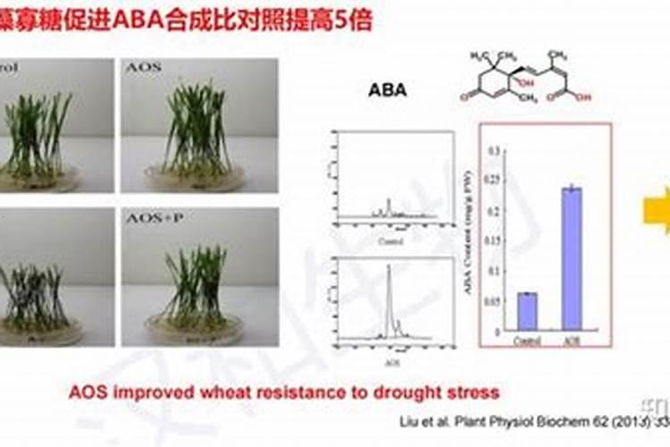 有机的水溶肥有哪些