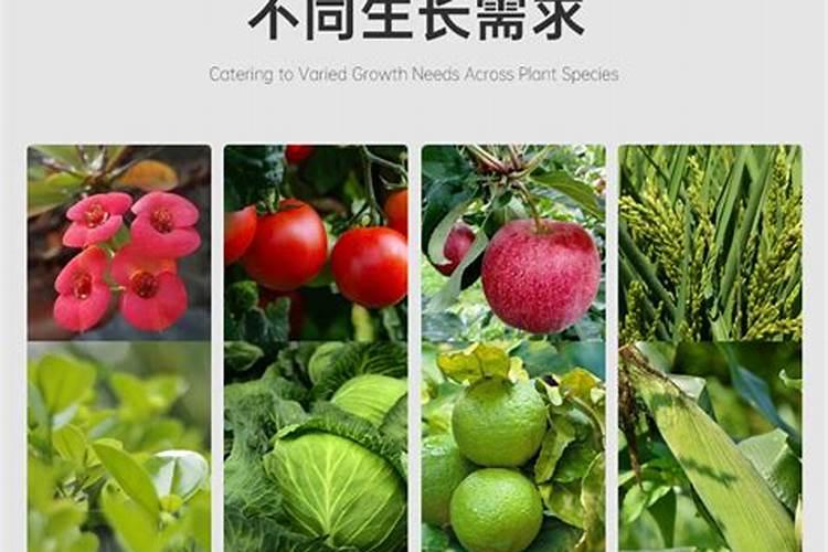 茶叶能发酵后做肥