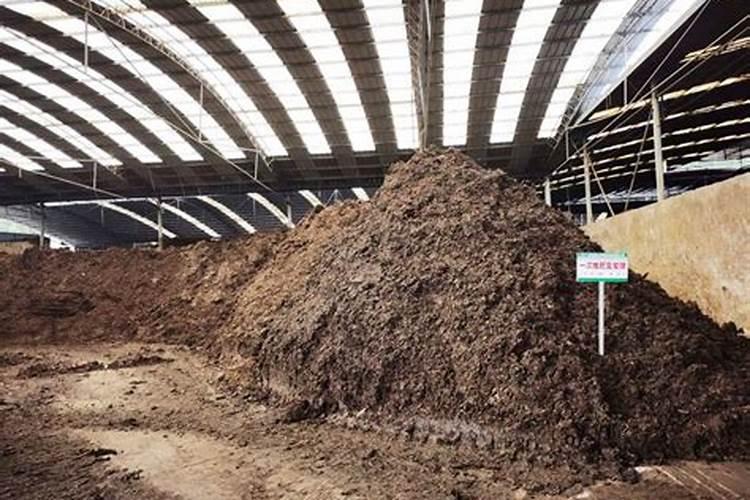 用苹果皮与淘米水发酵的肥料有些酒味能否浇花？