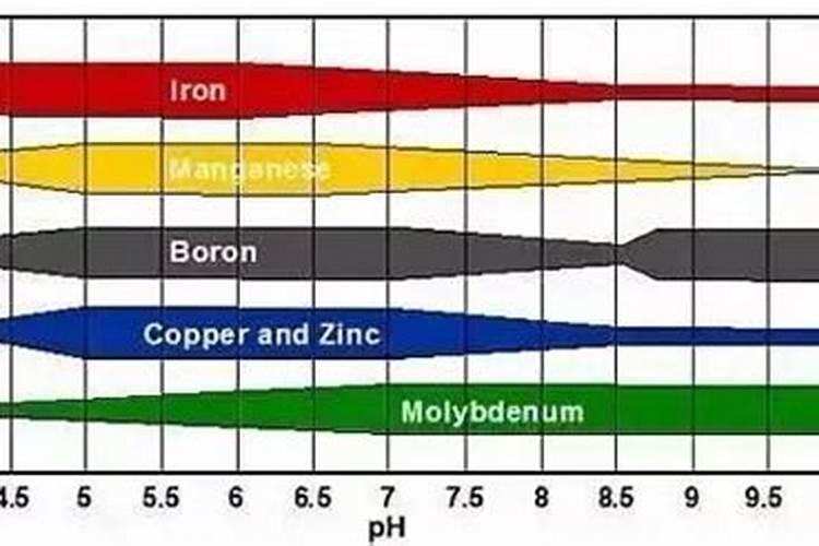 植物缺少微量元素怎么办