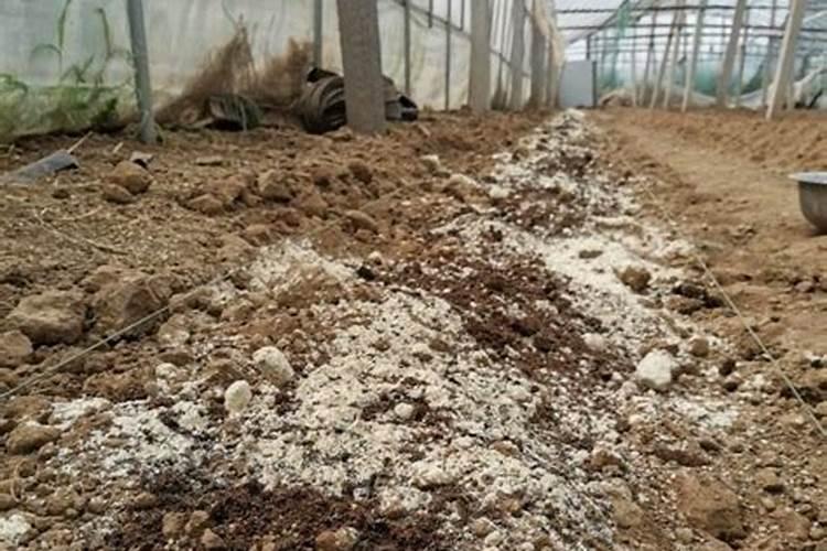 宣威市龙头水泥厂怎么样？