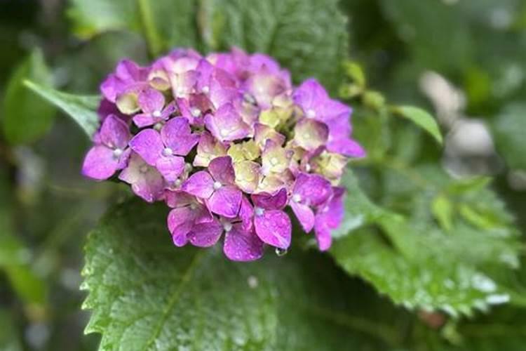 玉田沣田宝厂子怎么样