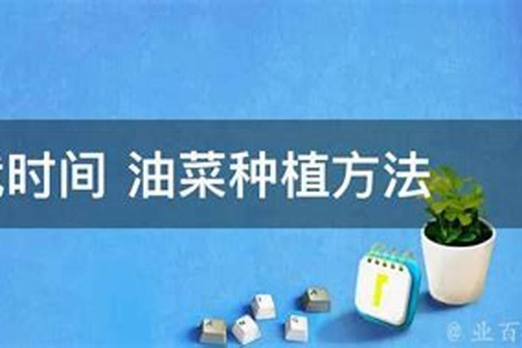 封开哪里有桉树苗出售