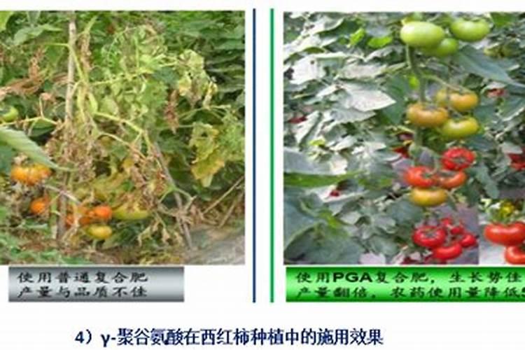 在黑河孙吴县土地种植玉米 掺混肥中用心连心水触膜尿素 后期会不会拖...