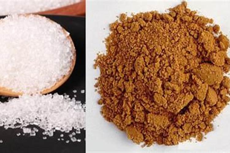 室内怎沤肥才不臭？