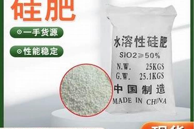 硅肥什么时候施最佳 硅肥应该在什么时候使用