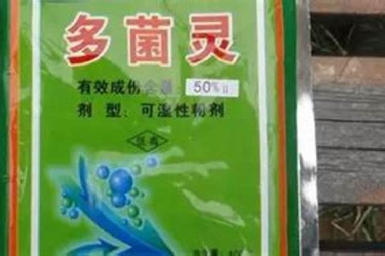 多菌灵对桂花树枯萎病有效吗？