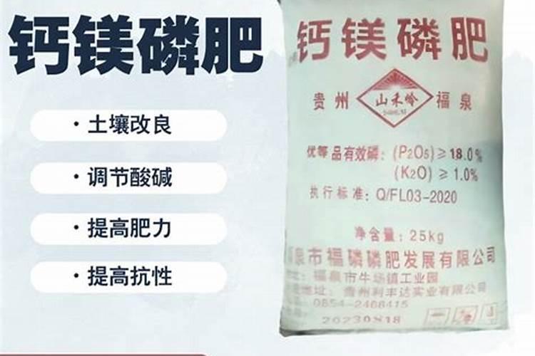 肥料单价多少钱一吨合适