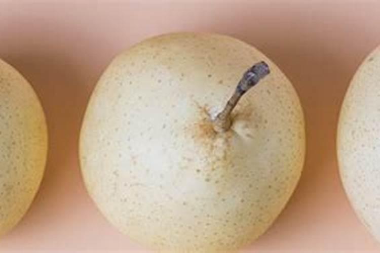 第三年的梨树怎么上肥