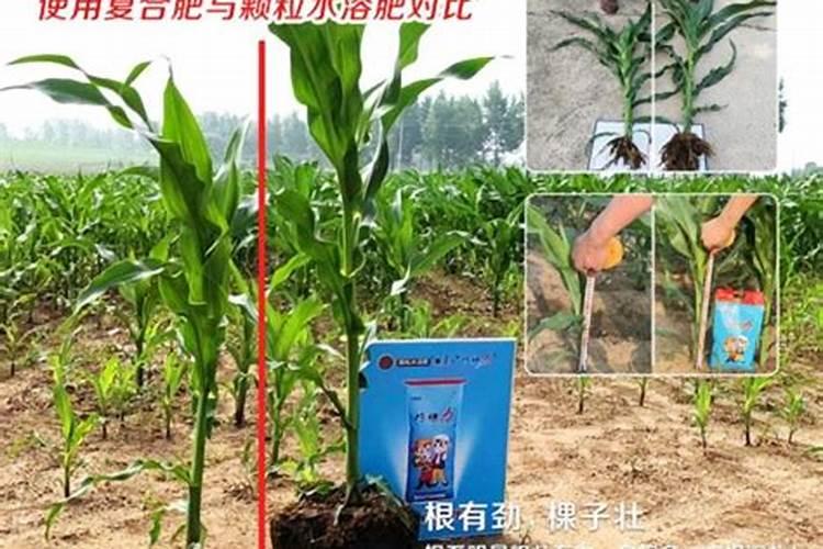 含腐植酸水溶肥料配方