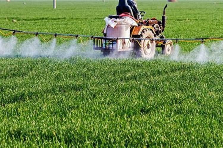 小麦除草剂和杀菌剂可以混用吗？