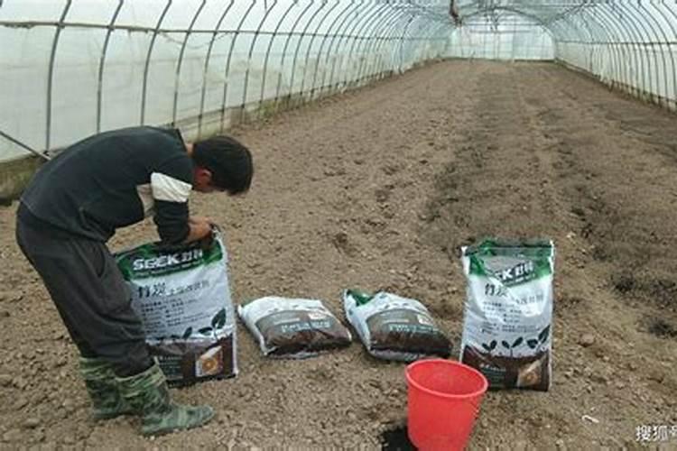 碳肥和氮肥有什么区别