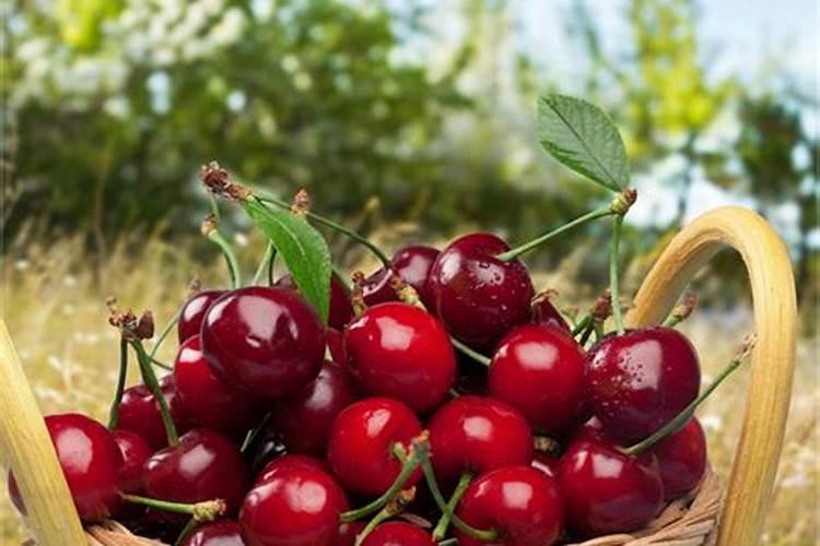 氨基酸水溶肥多少钱一袋