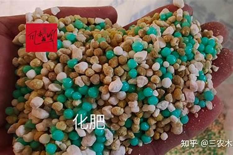 园林基肥用什么肥料