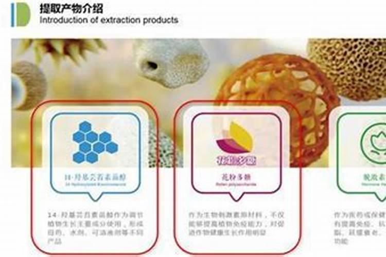 韭菜上什么肥料好