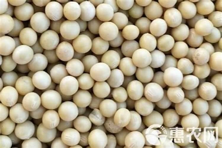 大豆肥最忌三种肥料