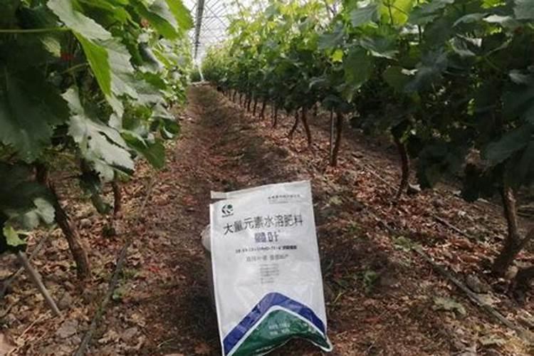 黄腐酸钾复合肥的配比是多少