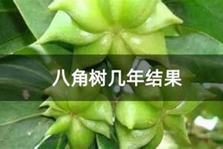 工业硅项目概览