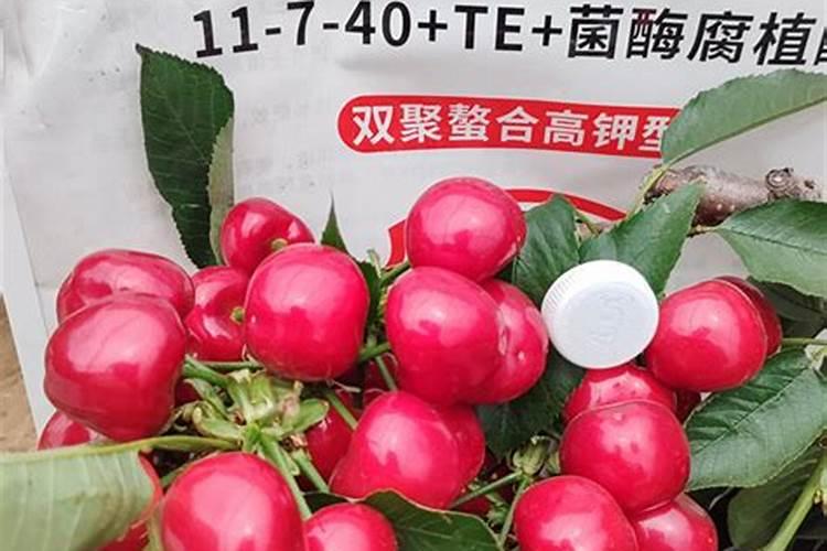 高扬程潜水泵十大品牌