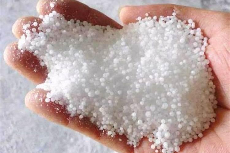 冬天可以给绿植施肥吗