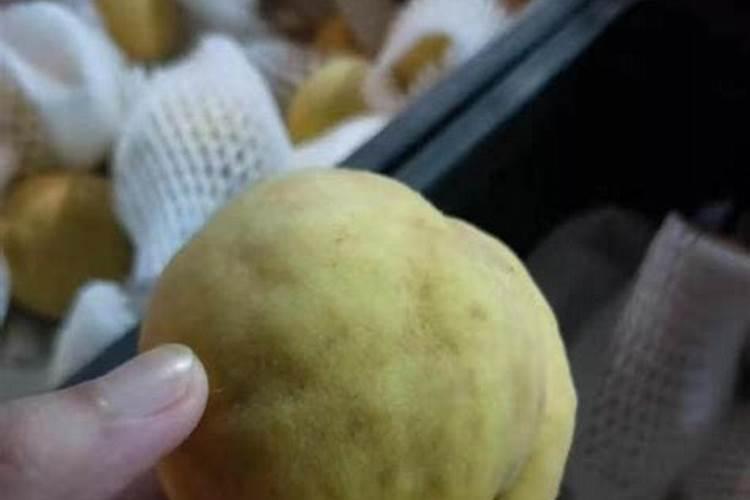 芙蓉花开花时多久施肥一次