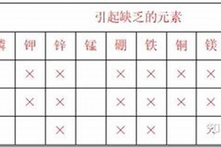 想把阳台打造成一个小花园,该怎么做？能不能推荐一些花卉？