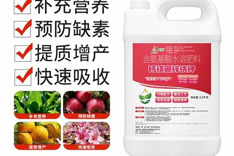 葡萄下雨之后一直烂了之后怎么办