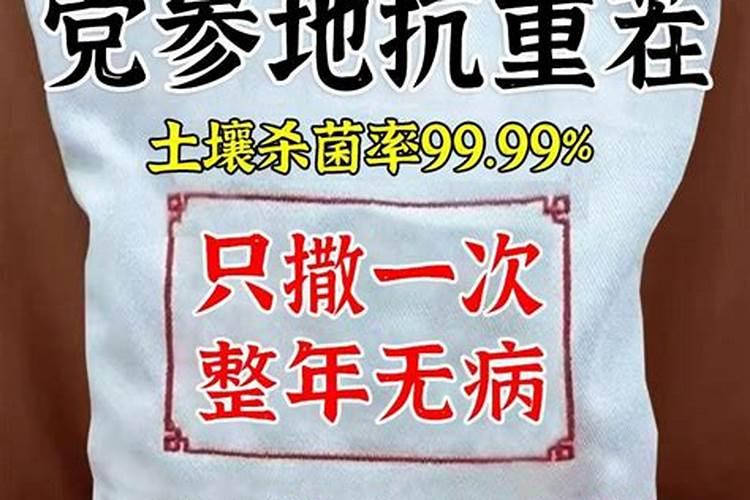 目前最好的抗重茬土壤改良剂