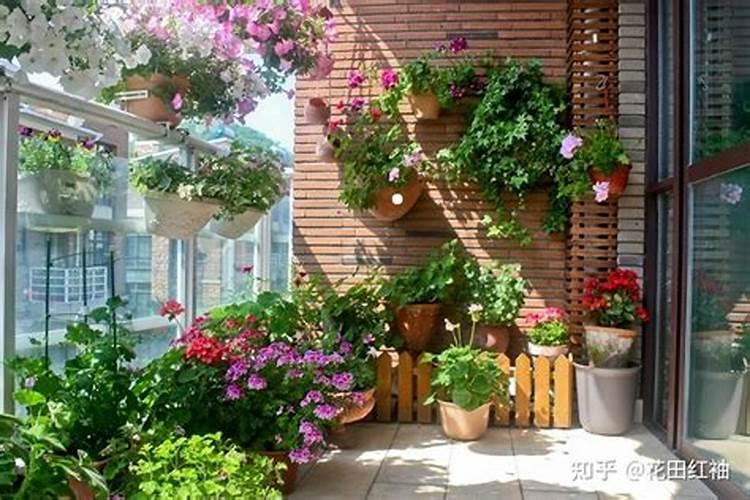 什么季节适合给花施肥.