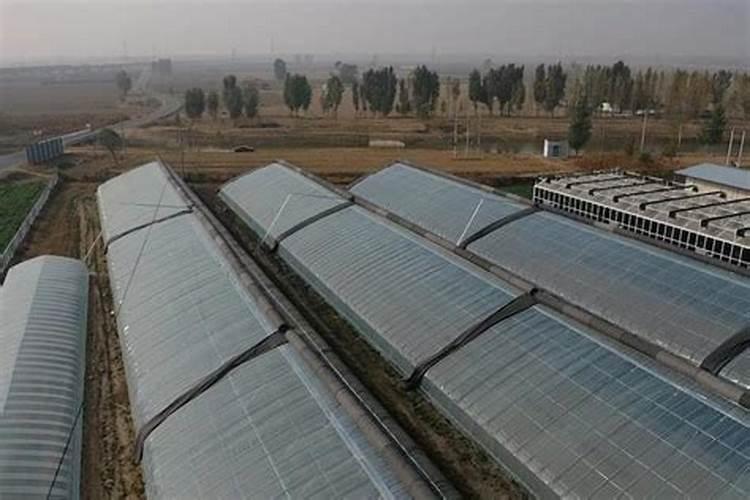 天然钾肥有哪些