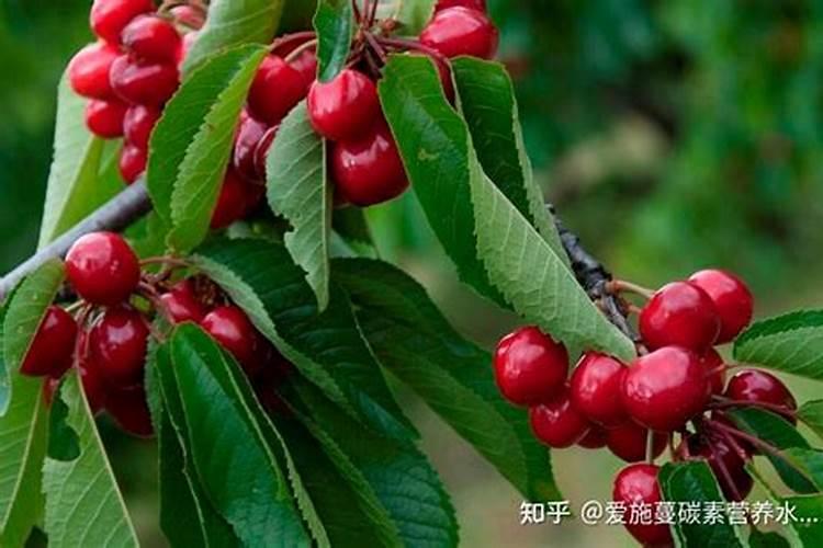 肥料单价多少钱一吨合适