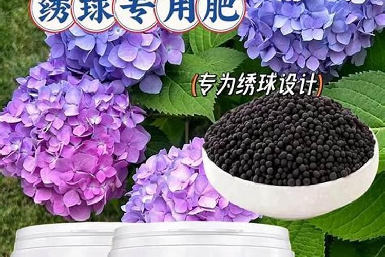 花氮肥有哪些