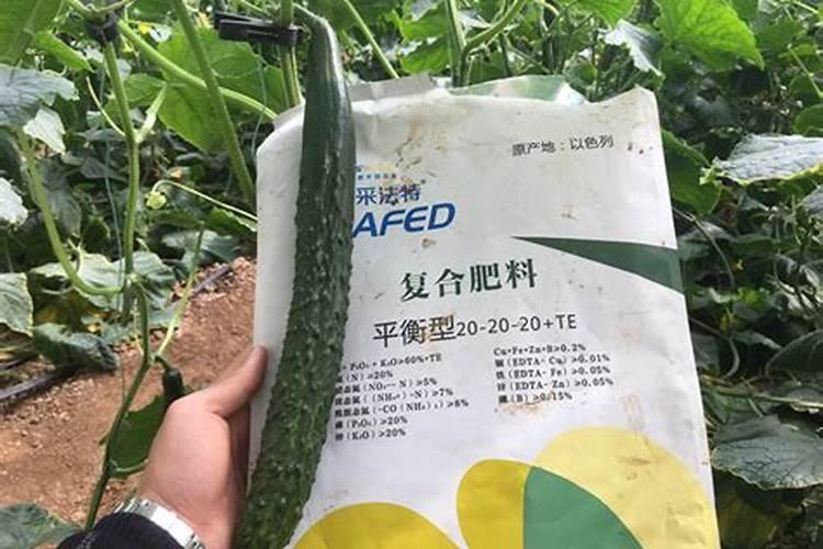 颗粒水溶肥和液体水溶肥哪个更好