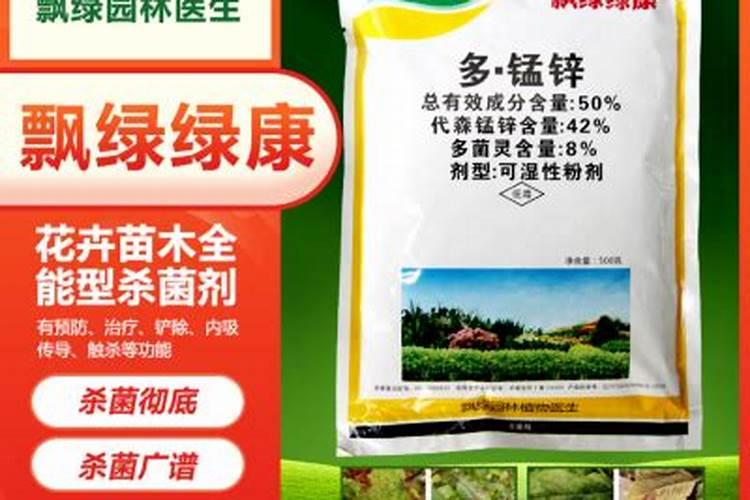 蔷薇花施肥施什么肥料