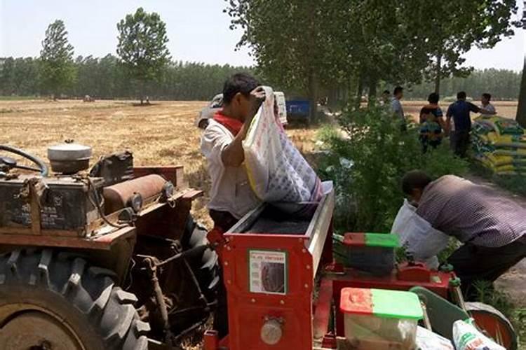 战酒黑金龙金箔酒怎么样