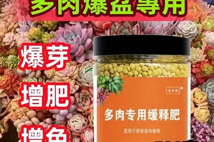 为什么鱼骨头放入食醋中会变软？答:鱼骨头中含有CA和P……p是什么...