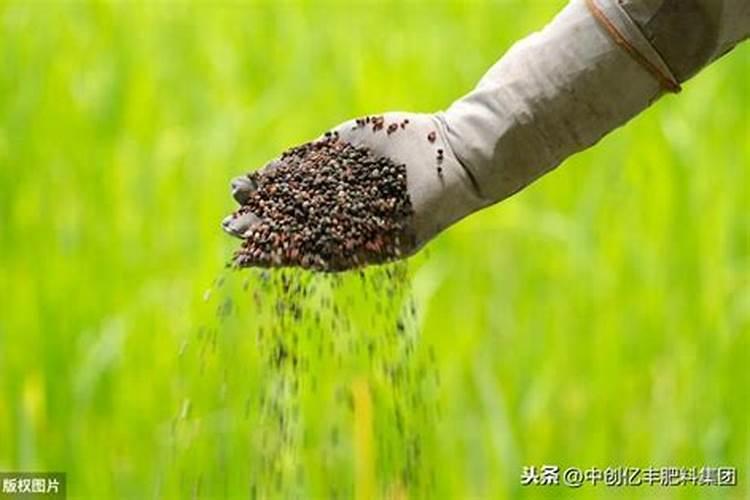 骨粉是什么肥料？