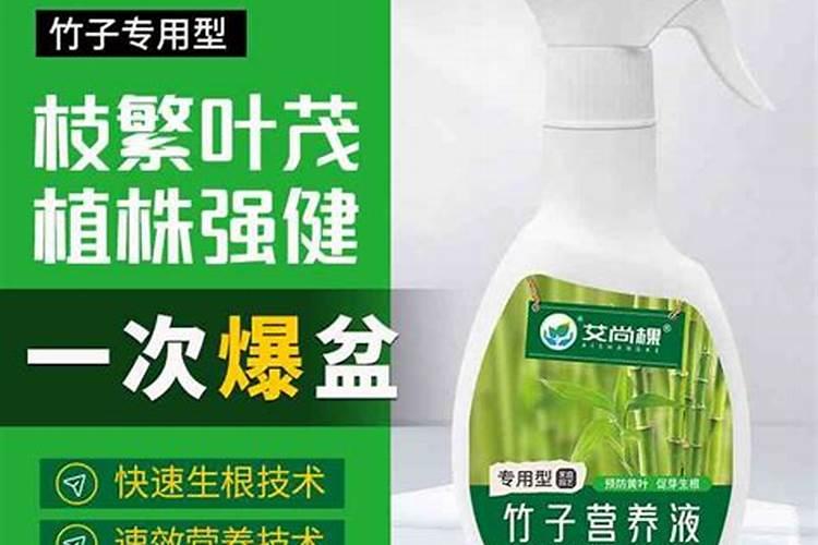 玉米各生长阶段管理要点