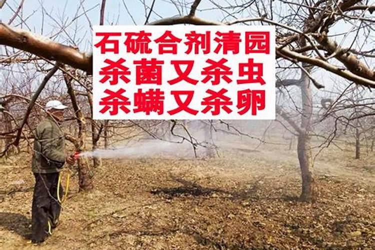 你好!红美人适合在福建长汀种植吗？ 大概亩产多少斤？收购价格大约多少元...