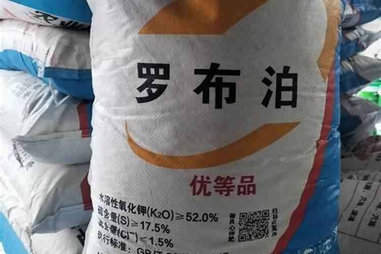 请问喂猪什么饲料能快速曾肥